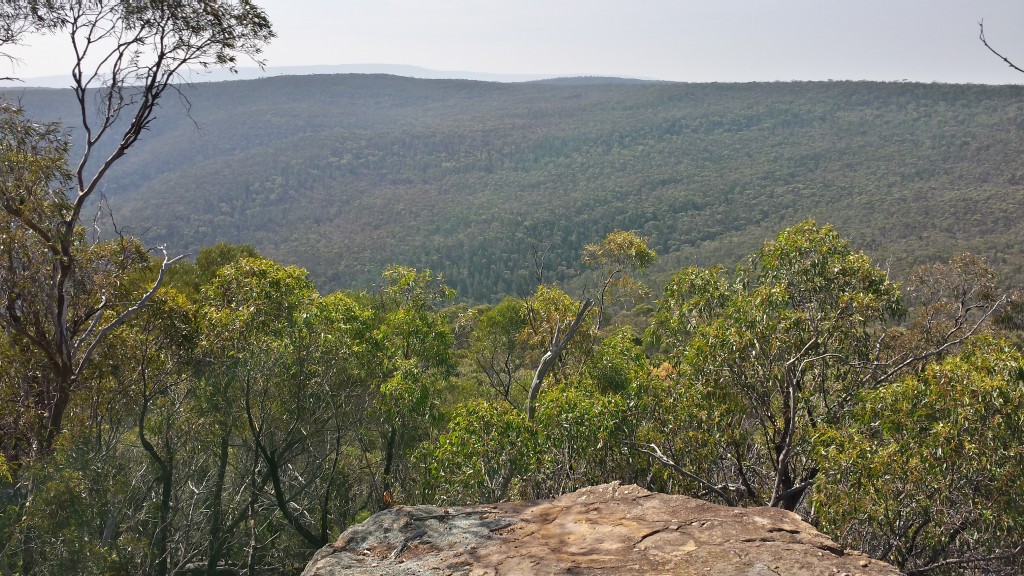 regional work griffith australia cocoparra national park