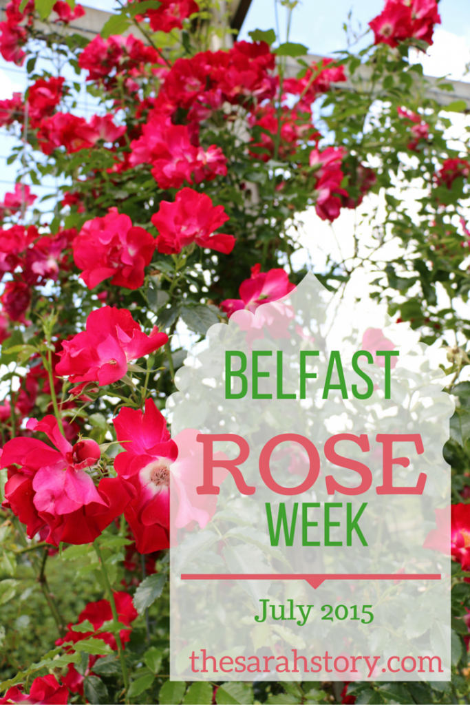 Belfast Rose Week at the Lady Dixon Park in summer 2015