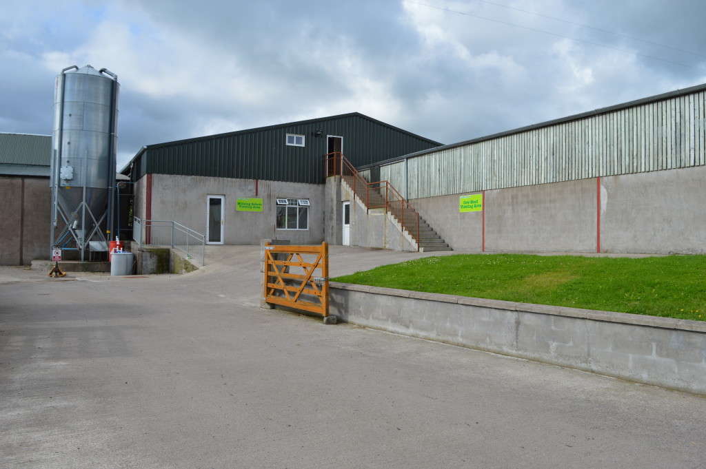 tickety moo ice cream farm shop cows shed