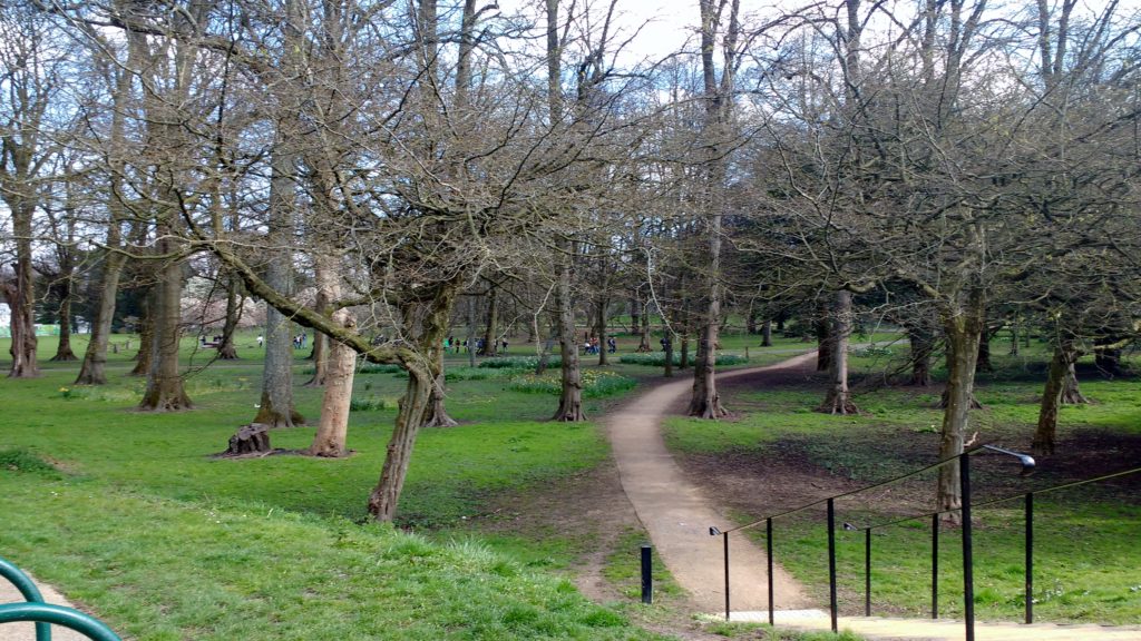 cardiff on foot bute park