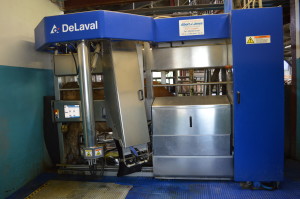 tickety moo cows shed robot milking
